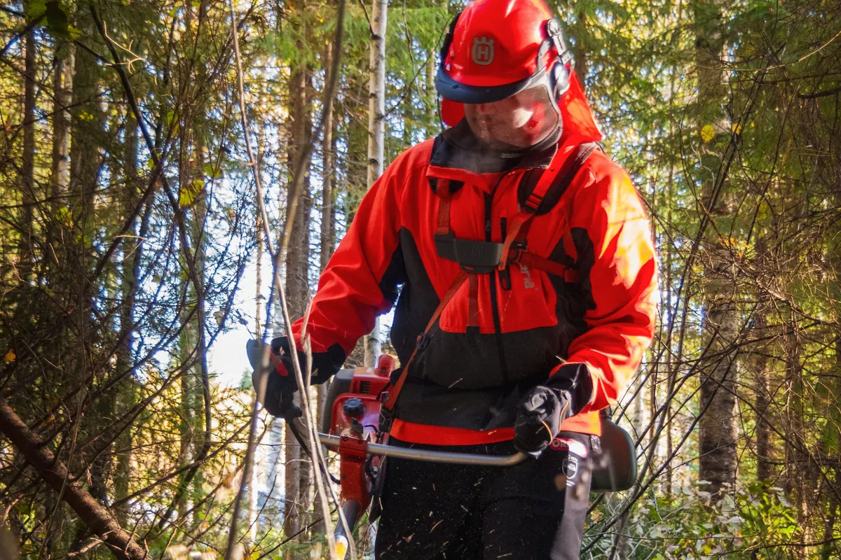 Forestry worker in protective gear clearing underbrush with a brush cutter