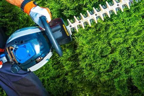 Powered hedge trimmer shaping a dense green hedge