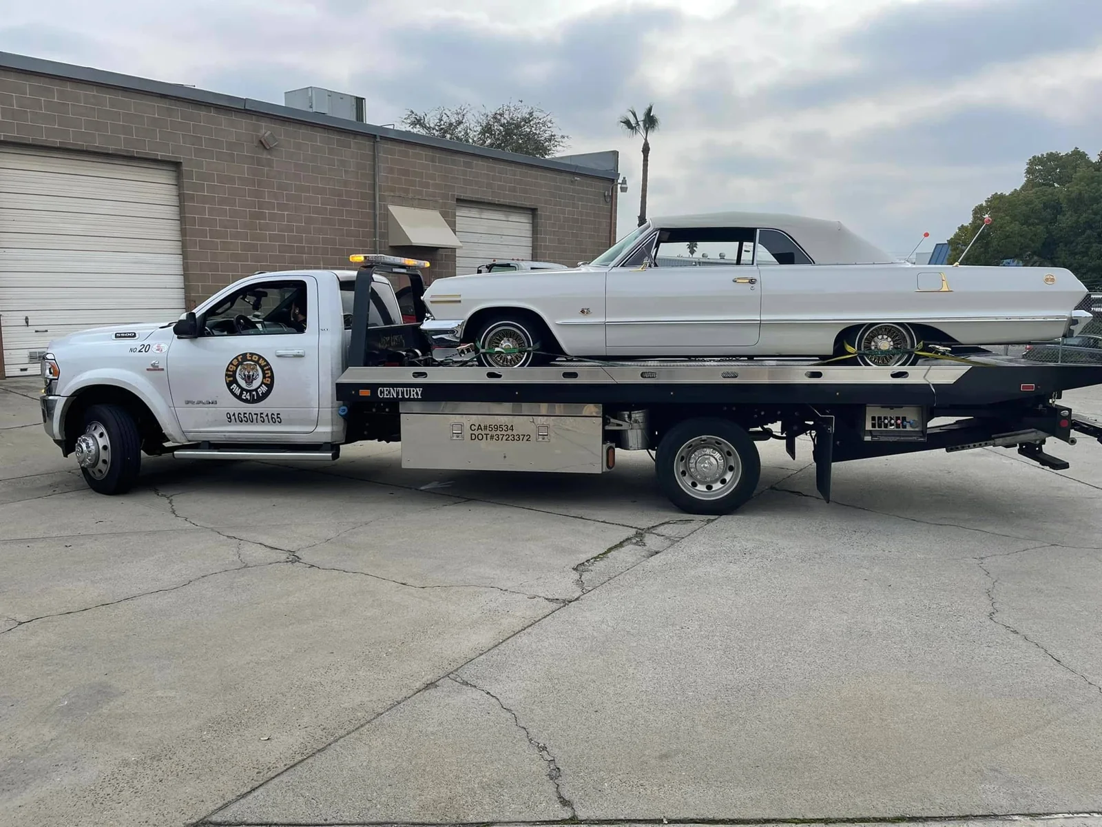 Classic car carried by Tiger’s flatbed